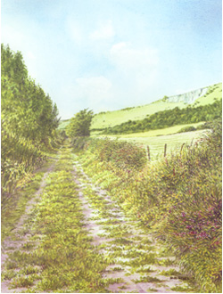 Footpath to the Downs